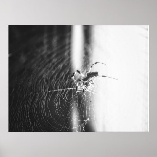 Niedlich Spider Tangled Weave | Spider Lover Gesch Poster (Vorne)