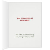 Niedlich spielend Weihnachtskatze (Innen (Rechts))