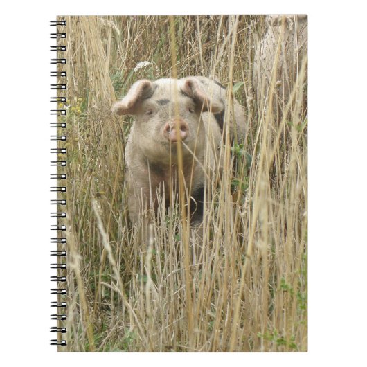 Niedlich Spott-Schweinegrippe-Notebook Notizblock (Vorderseite)
