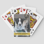 Niedlich Spotty Heeler Mix Hunde Template Foto Spielkarten (Rückseite)