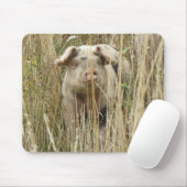 Niedlich Spotty Pig Mousepad (Mit Mouse)