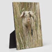 Niedlich Spotty Pig Plaque Fotoplatte (Seite)