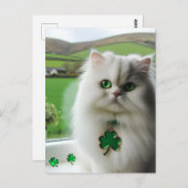 Niedlich St. Patricks Day Cat Postkarte (Vorne/Hinten)