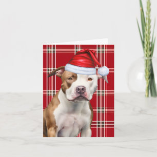 Niedlich Staffordshire Terrier Santa Dog Red Karie Feiertagskarte