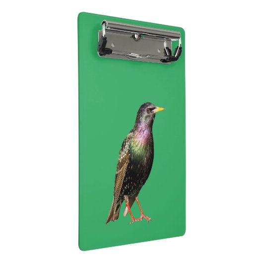 Niedlich Starling Bird Mini Klemmbrett (Schrägansicht)