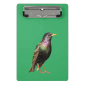 Niedlich Starling Bird Mini Klemmbrett (Vorderseite)