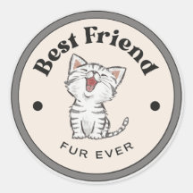 NIEDLICH! Stickers - Bester Freund Fur je - Kitty