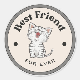 NIEDLICH! Stickers - Bester Freund Fur je - Kitty