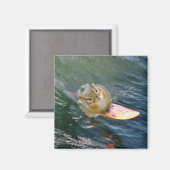 Niedlich Surfen Chipmunk Magnet (Vorderseite/Rückseite)
