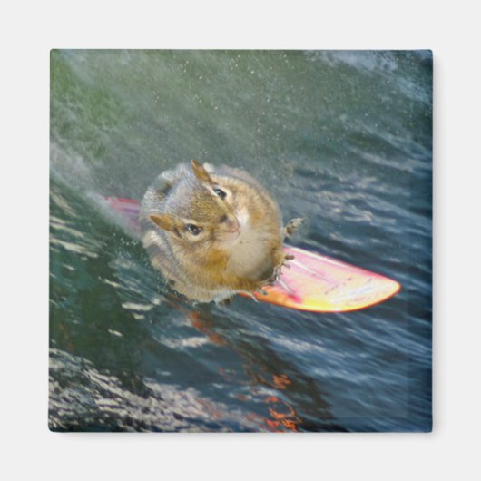 Niedlich Surfen Chipmunk Magnet (Vorne)