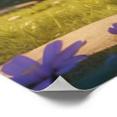 *~* Niedlich süße AP68 2:3 Kitten Orange Tabby Poster (Ecke)