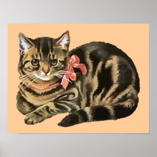 Niedlich Tabby Calico Cat / Kitten Poster