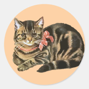 Niedlich Tabby Calico Cat / Kitten Sticker