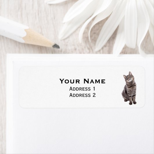 Niedlich Tabby Cat (Insitu)