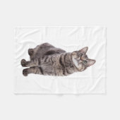 Niedlich Tabby Cat Fleecedecke (Vorderseite (Horizontal))