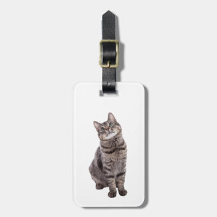 Niedlich Tabby Cat Gepäckanhänger