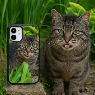 Niedlich Tabby Cat Kiss iPhone 16 Hülle