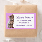 Niedlich Tabby Cat Kitten Lavender Large (Insitu)
