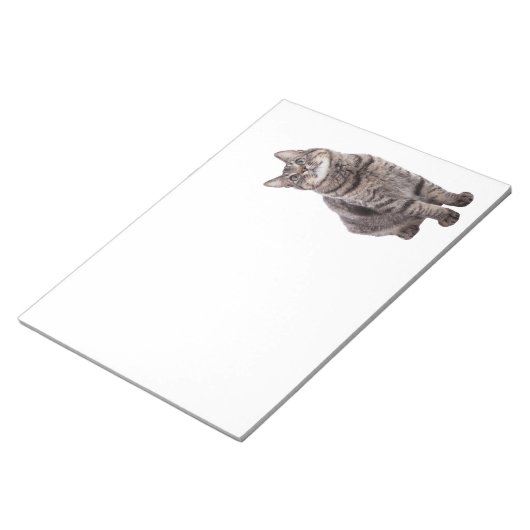 Niedlich Tabby Cat Notizblock (angewinkelt)