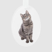 Niedlich Tabby Cat Ornament (Vorderseite)
