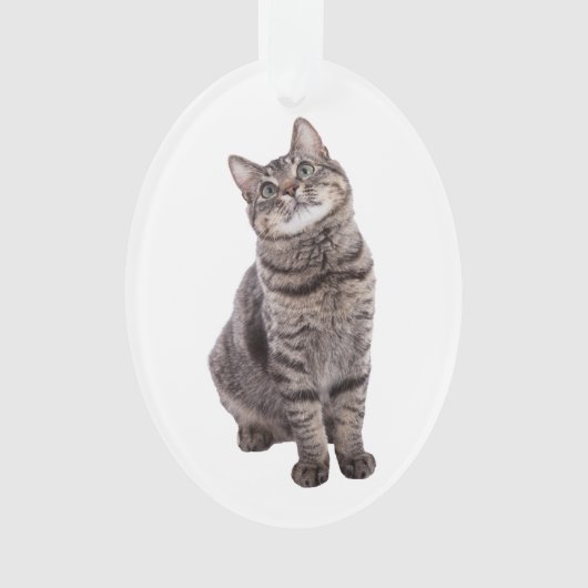 Niedlich Tabby Cat Ornament (Vorderseite)
