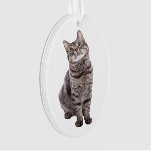 Niedlich Tabby Cat Ornament (Vorderseite)