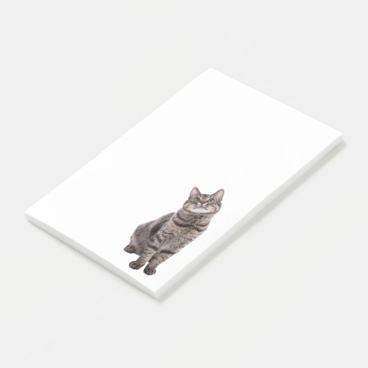 Niedlich Tabby Cat Post-it Klebezettel (angewinkelt)