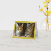 Niedlich Tabby Cats Happy Birthday Karte (Gelbe Blume)