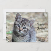 Niedlich Tabby Kitten Foto Geburtstag Einladung (Vorderseite)
