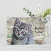 Niedlich Tabby Kitten Foto Geburtstag Einladung (Stehend Vorderseite)