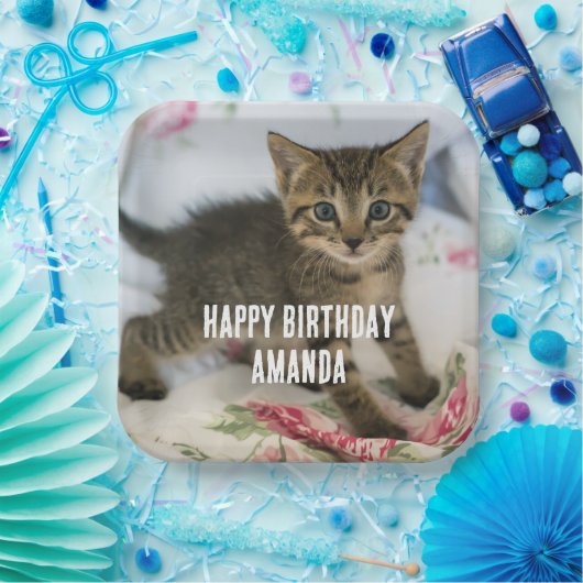 Niedlich Tabby Kitten sieht überraschend am Geburt Pappteller (Party)