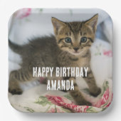 Niedlich Tabby Kitten sieht überraschend am Geburt Pappteller (Vorderseite)