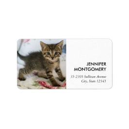 Niedlich Tabby Kitten sieht überraschend aus Adressaufkleber