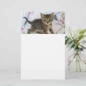 Niedlich Tabby Kitten sieht überraschend aus Briefpapier (Stehend Vorderseite)