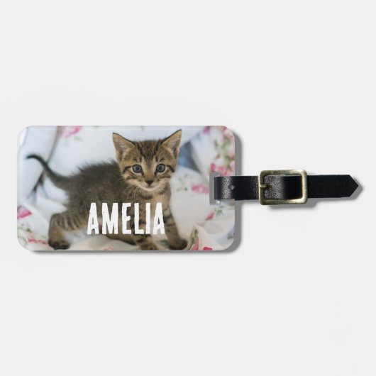 Niedlich Tabby Kitten sieht überraschend aus Gepäckanhänger (Vorderseite horizontal)