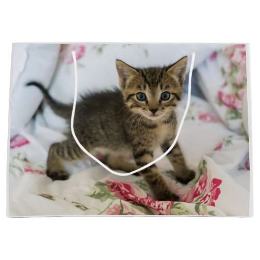 Niedlich Tabby Kitten sieht überraschend aus Große Geschenktüte (Vorderseite)