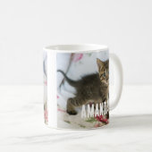 Niedlich Tabby Kitten sieht überraschend aus Kaffeetasse (VorderseiteRechts)