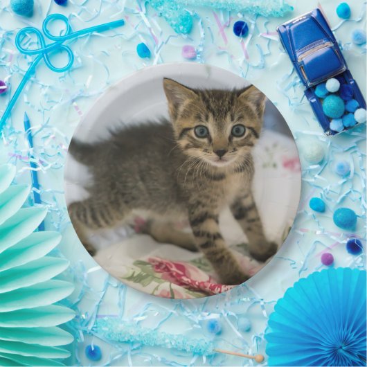 Niedlich Tabby Kitten sieht überraschend aus Pappteller (Party)