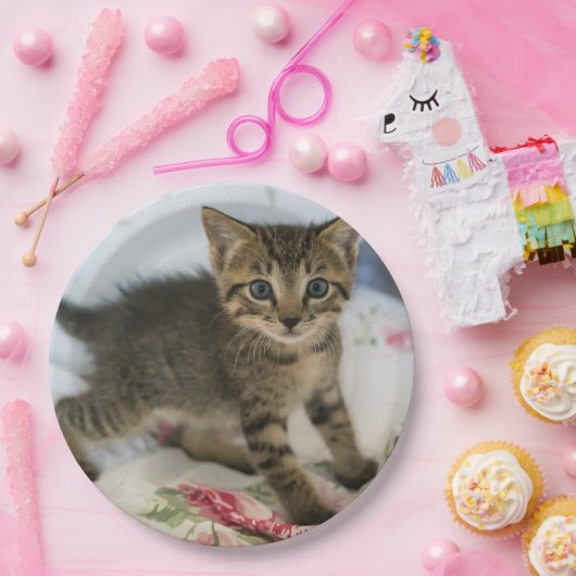 Niedlich Tabby Kitten sieht überraschend aus Pappteller (Party)