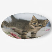 Niedlich Tabby Kitten sieht überraschend aus Pappteller (Schrägansicht)