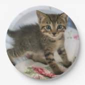 Niedlich Tabby Kitten sieht überraschend aus Pappteller (Vorderseite)