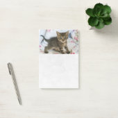 Niedlich Tabby Kitten sieht überraschend aus Post-it Klebezettel (Büro)