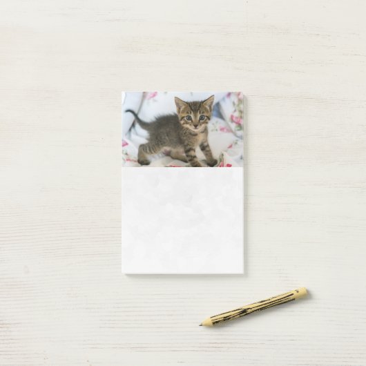 Niedlich Tabby Kitten sieht überraschend aus Post-it Klebezettel (Auf Schreibtisch)