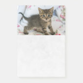 Niedlich Tabby Kitten sieht überraschend aus Post-it Klebezettel (Vorderseite)