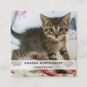 Niedlich Tabby Kitten sieht überraschend aus Quadratische Visitenkarte