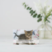 Niedlich Tabby Kitten sieht überraschend aus Visitenkarte (Stehend Vorderseite)