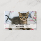 Niedlich Tabby Kitten sieht überraschend aus Visitenkarte (Vorderseite)