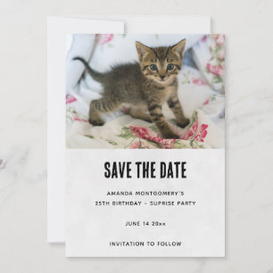 Niedlich Tabby Kitten sieht überraschend Geburtsta Save The Date