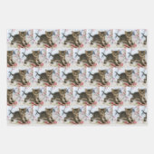 Niedlich Tabby Kitten sieht überraschend Gemustert Geschenkpapier Set (Vorderseite)