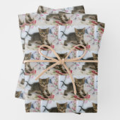 Niedlich Tabby Kitten sieht überraschend Gemustert Geschenkpapier Set (Beispiel)